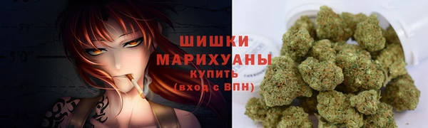 apvp Верея