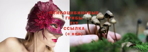 apvp Верея