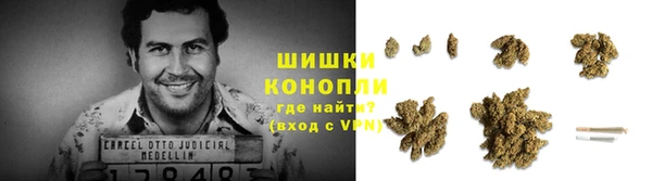 apvp Верея