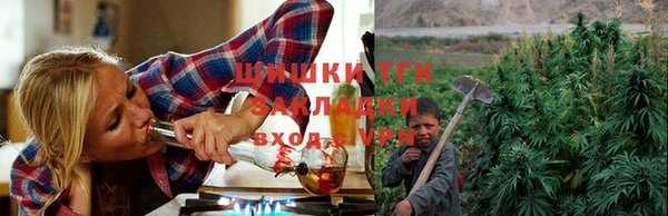 apvp Верея