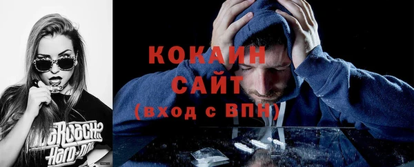 apvp Верея